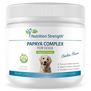 Nutrition Strength Papaya for Dogs Digestive Enzyme Complex to Support Normal Intestinal Function, Boost Immunity, with Organic Papaya Fruit + Papain, - 41WYoZK-KHL._SL500_.jpg