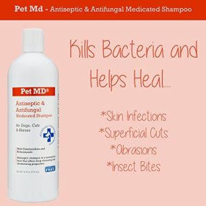 Pet MD Medicated Shampoo for Dogs Cats and Horses with Chlorhexidine - Soap and Paraben Free - 16 Oz