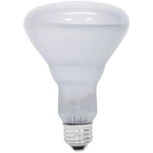 GE Lighting Reveal 65-watt R30 Floodlight, 1 Each (Quantity)