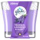 Glade 1 Wick Candle Tranquil Lavender & Aloe - 3.4 Oz - 278264067-1.jpg