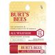 Burt's Bees Burts Bees All-Weather SPF 15 Lip Balm, 0.15 Oz Tube, 6 Tubes/Box, 8 Boxes/Carton | Quill - 31459809-1.jpg