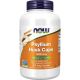 NOW Foods - Psyllium Husk 500 mg. - 200 Vegetable Capsule(s) - 46eb6910-8551-4d0c-a954-702b82bd5507.a5e4d729bacd1edfe49ebb8cb92936d6.jpg