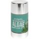 Urban Hydration Sea Acne Gone Algae Oil Free Face Mask Stick | Fights Acne, Reduces Redness and Inflammation For All Skin Types | 1.7 Fl Ounces