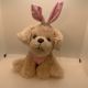 ASPCA Adopt Me Puppy Plush Pink Ears & Polka Dots So Soft - 793786417-1.jpg
