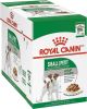 Royal Canin - 815366113-1.jpg