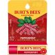 Burt's Bees Moisturizing Lip Balm - Peppermint - 0.15oz - GUEST_12e1078c-3c43-420f-b15d-9cb7e7956da6.jpg
