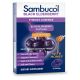 Sambucol Black Elderberry Throat Lozenges with Vitamin C, Zinc and Honey, 20 Count