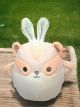Squishmallow Tai Sugar Glider Bunny Ear Flying Squirrel 8 Easter Plush 2023 - s-l1600.jpg